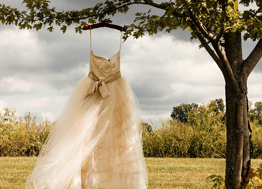 Liz Martin on Unsplash. beautiful, delicate cream dress hanging from a tree out in a field