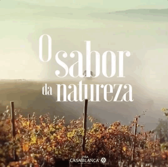 Moving gif of vineyard in Chile