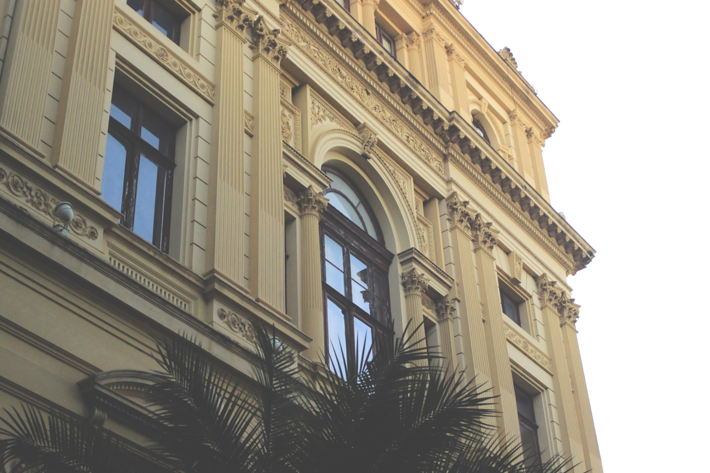 Sao Paulo palace, Independence Park, at Ipiranga. Dom Pedro I. Bottom view, glass windows and plants. Photo sold on Creative Market.